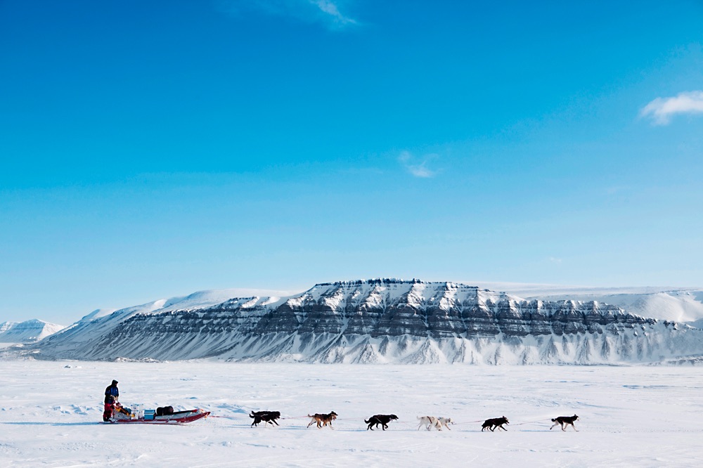 (Image)-Image-Laponie-ChiensDeTraineau-CR-TylerOlson-40788397.jpg