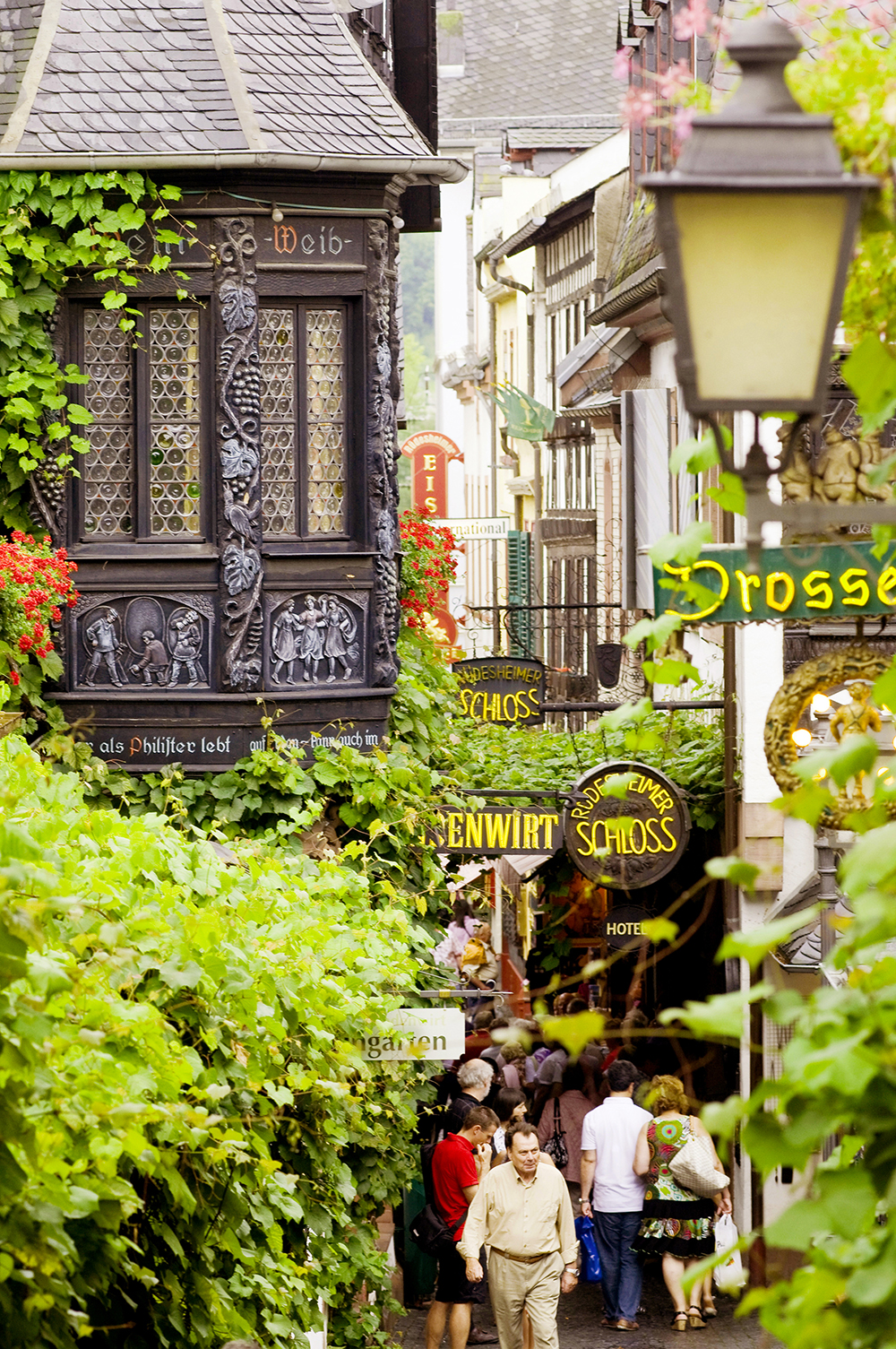 Photo Croisi&egrave;re Hangard Voyages