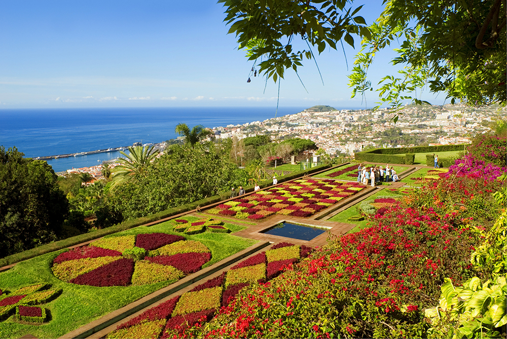 (Image)-Image-Portugal-Madere-jardin-DR-MGSaavedra-223713772.jpg