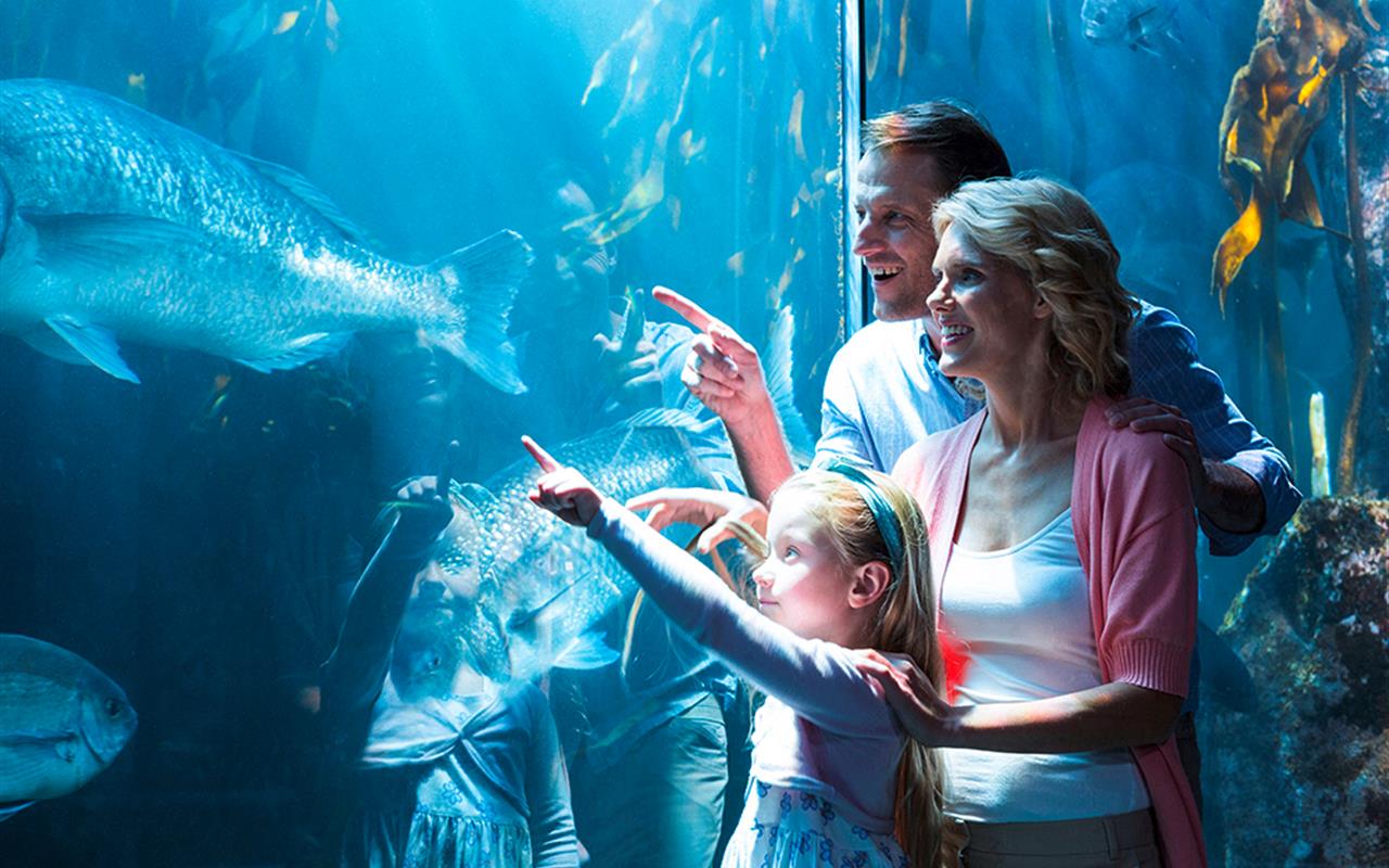 Photo Voyage autocar Hangard Voyages