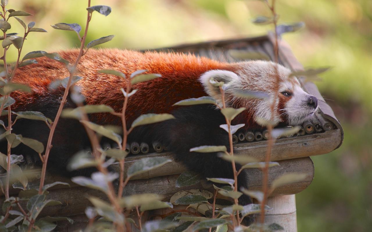 Photo Voyage autocar Hangard Voyages