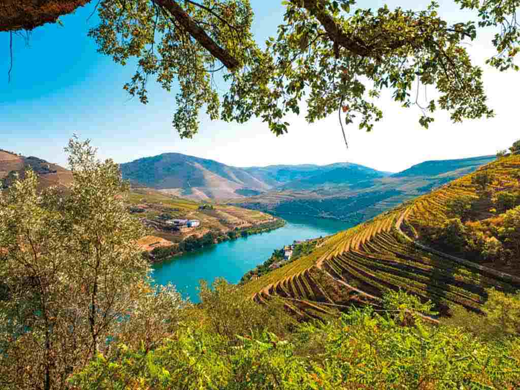 Croisière Douro : Portugal et Salamanque - 3