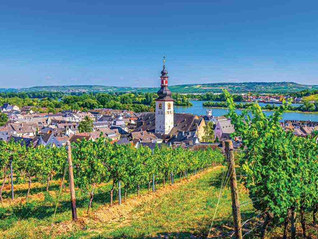 Croisière Le Rhin en fête : Strasbourg, Rüdesheim et Mannheim - 1
