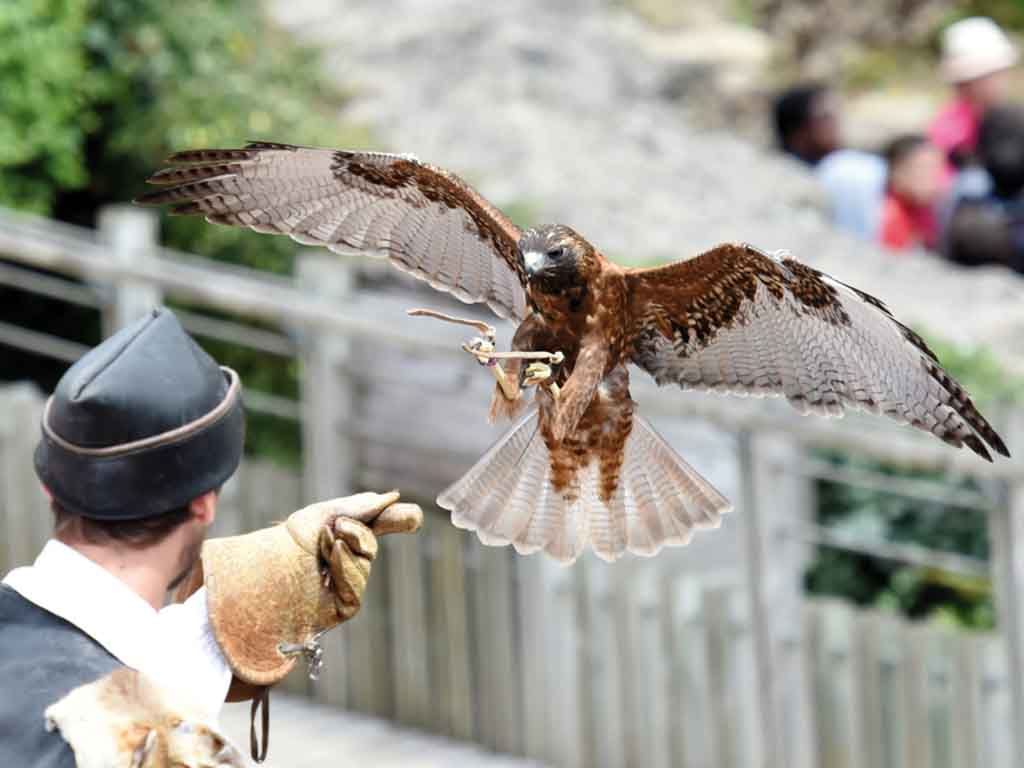 Puy du Fou et Cinéscénie - 2