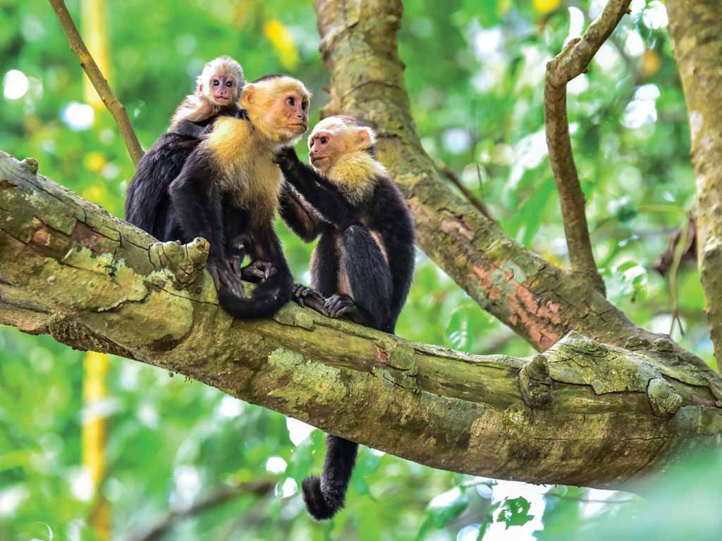 Costa Rica - 2