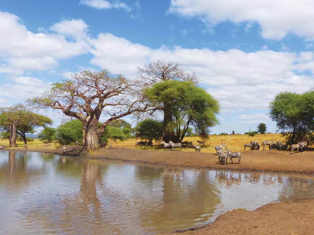 Tanzanie - 2