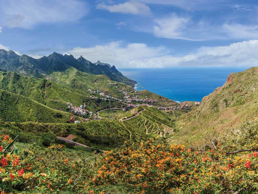 Canaries : Grande Canarie - Tenerife - La Gomera - 5
