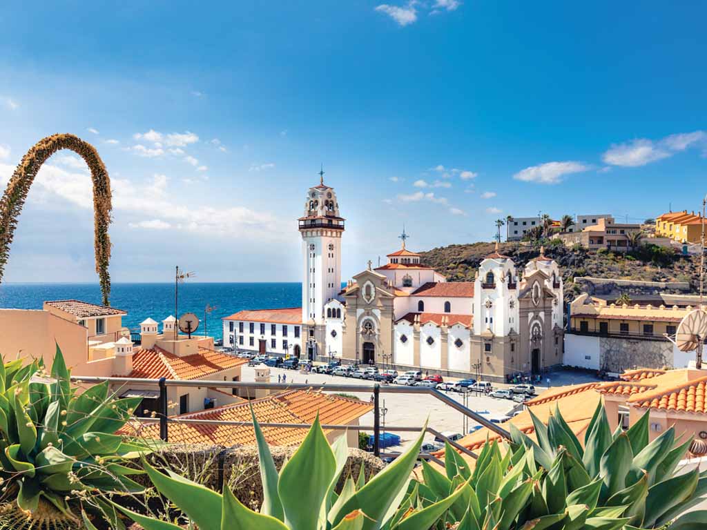 Canaries : Tenerife - 4