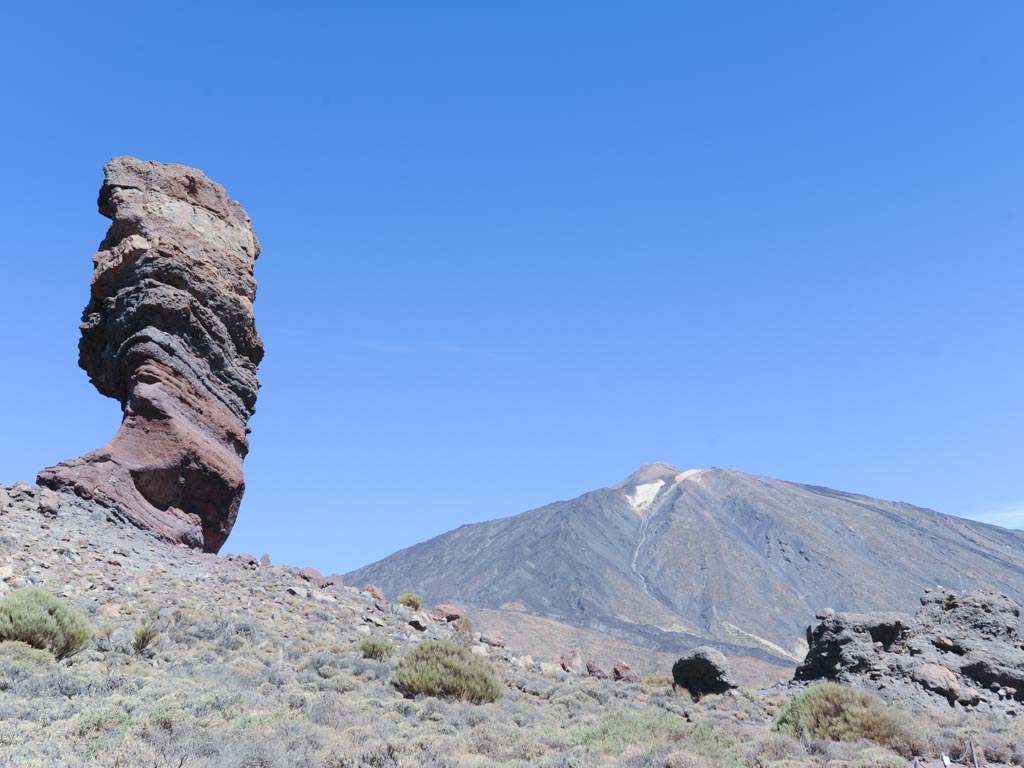 Canaries : Tenerife - 5
