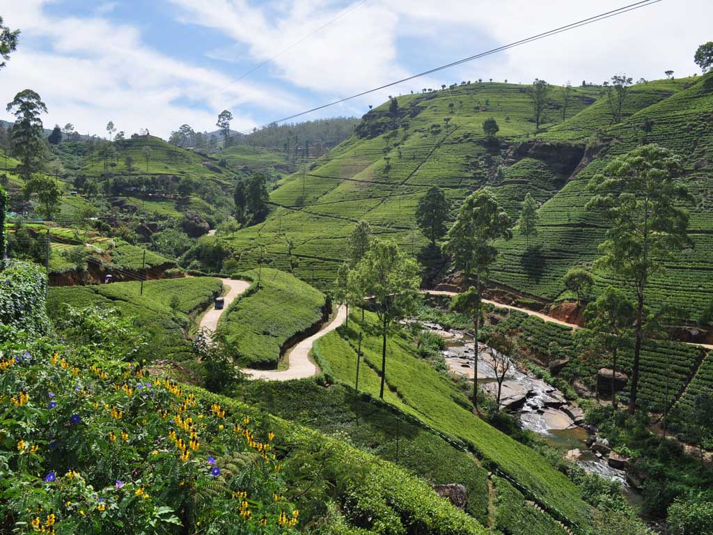 Sri Lanka - 6