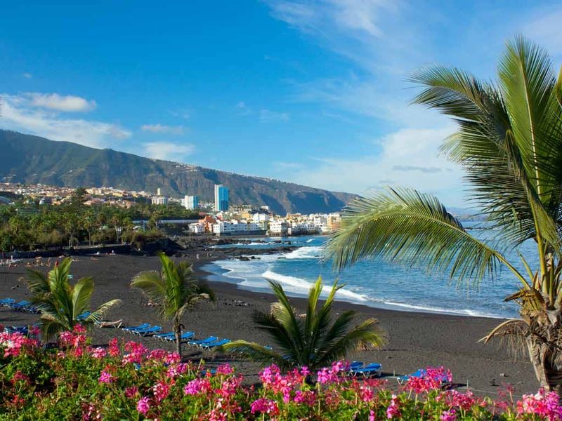 Canaries : Tenerife - 1